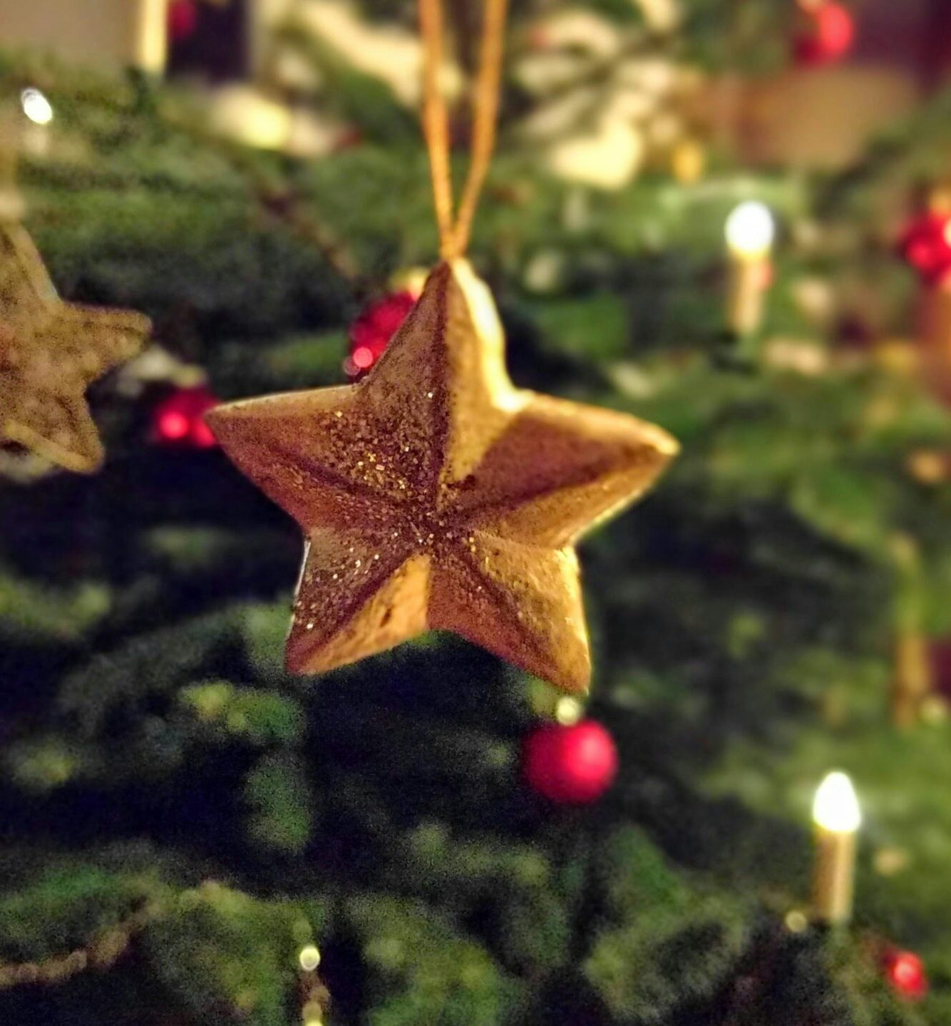 Christmas Gift Card Offer Christmas Gift Card Offer